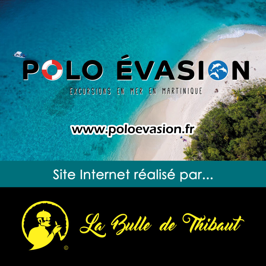 Création site internet Martinique